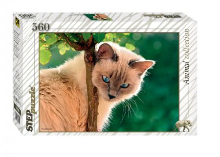 Пъзел Cat 560 елемента 