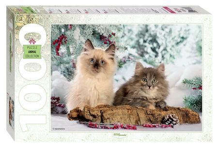 Пъзел Cats 1000 елемента 
